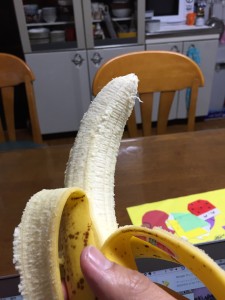 向いてみたｗ第三弾バナナ